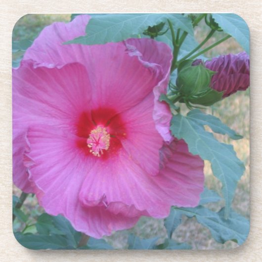 Dessous de verre à fleurs (Devant)