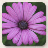 Dessous de verre à fleurs violettes (Devant)