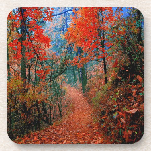 Dessous de verre à l'aquarelle Forêt peinte Flamme (Devant)