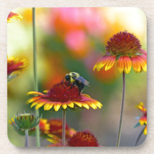 Dessous-de-verre Abee sur Gaillardia