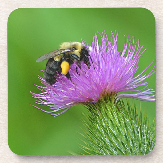 Dessous de verre Abeille Et Chardon (Devant)
