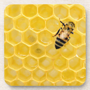Dessous-de-verre abeille et nid d'abeille
