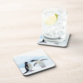 Dessous-de-verre Adelie Penguins (Côté Droit)