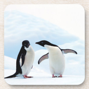 Dessous-de-verre Adelie Penguins