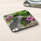 Dessous-de-verre African Grey Parrot with Orchids (Côté gauche)