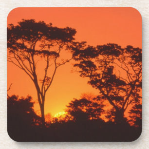 Dessous-de-verre Afrique du Sud. Coucher de soleil africain.