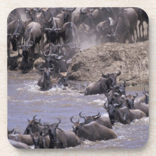 Dessous-de-verre Afrique, Kenya, Parc national Masai Mara.