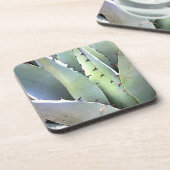 Dessous-de-verre Agave Plante Succulent Cactus Vert (Côté gauche)