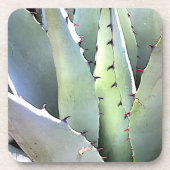 Dessous-de-verre Agave Plante Succulent Cactus Vert (Devant)