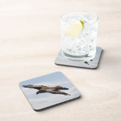 Dessous-de-verre Aigle (Côté Droit)