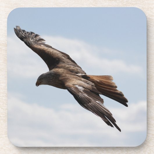 Dessous-de-verre Aigle (Devant)