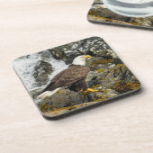 Dessous-de-verre Aigle à tête blanche (Côté gauche)