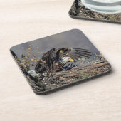 Dessous-de-verre Aigle avec son bébé (Côté gauche)