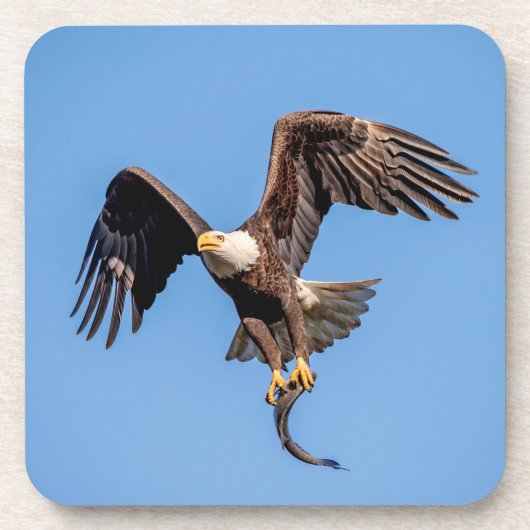 Dessous-de-verre Aigle Bald avec un poisson (Devant)