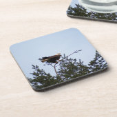 Dessous-de-verre Aigle de Bald (Côté gauche)