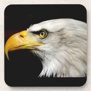 Dessous-de-verre Aigle de Bald