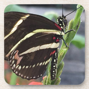 Dessous-de-verre Ailes jaunes et noires de papillon