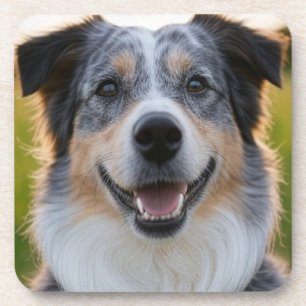 Dessous-de-verre Ajouter une Personnaliser photo pour animaux domes
