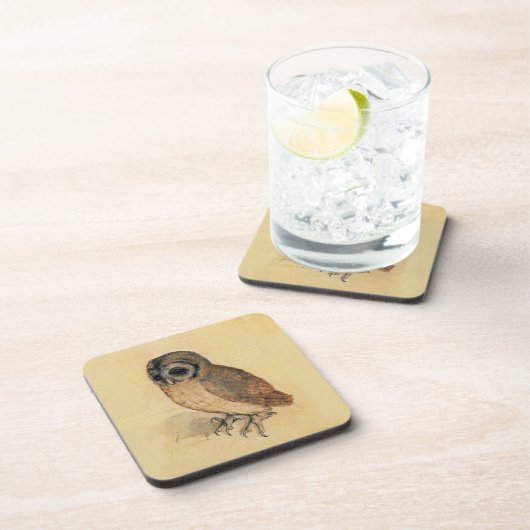 Dessous-de-verre Albrecht Durer La Petite Chouette (Côté Droit)