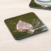 Dessous-de-verre Alimentation Cute Duck (Côté gauche)