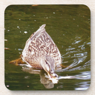 Dessous-de-verre Alimentation Cute Duck