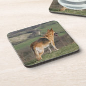 Dessous-de-verre Allemand Shephard regardant en bas de la colline (Côté gauche)