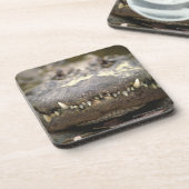 Dessous-de-verre Alligator américain (Côté gauche)