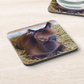 Dessous-de-verre Alpaca (Côté gauche)