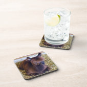 Dessous-de-verre Alpaca (Côté Droit)