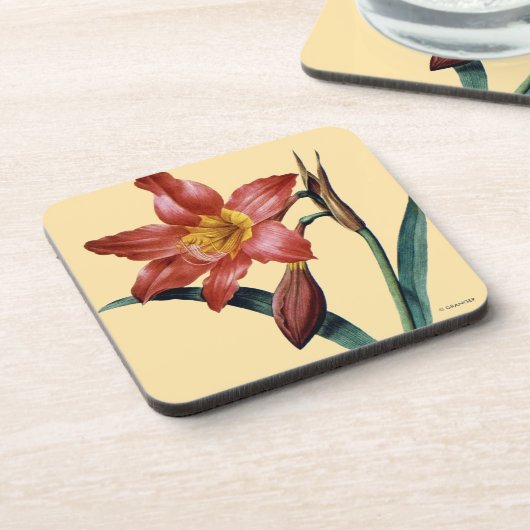 Dessous-de-verre Amaryllis (Côté gauche)