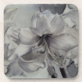 DESSOUS DE VERRE AMARYLLIS (Devant)