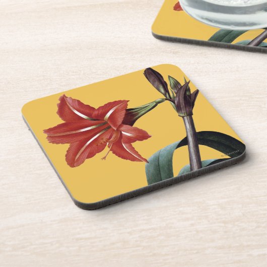 Dessous-de-verre Amaryllis barrée (Côté gauche)