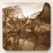 Dessous-de-verre américain (Devant)