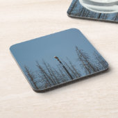 Dessous-de-verre American Bald Eagle 8974 (Côté gauche)