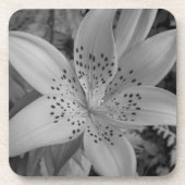 Dessous-de-verre American Tiger Lily (Devant)