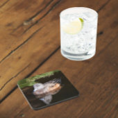 Dessous-de-verre American Wigeon Wildlife Photo