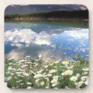 Dessous-de-verre Amérique du Nord, Canada, Alberta, Parc national d