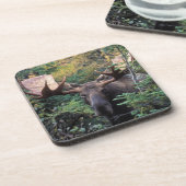 Dessous-de-verre Amérique du Nord, Canada, Nouvelle-Écosse, Cap-Bre (Côté gauche)