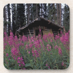 Dessous-de-verre Amérique du Nord, Canada, Yukon. Capteurs abandonn