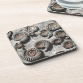 Dessous-de-verre ammonites fossiles multiples du Lower Lias (Côté gauche)