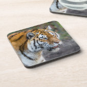 Dessous-de-verre Amur tiger (Côté gauche)