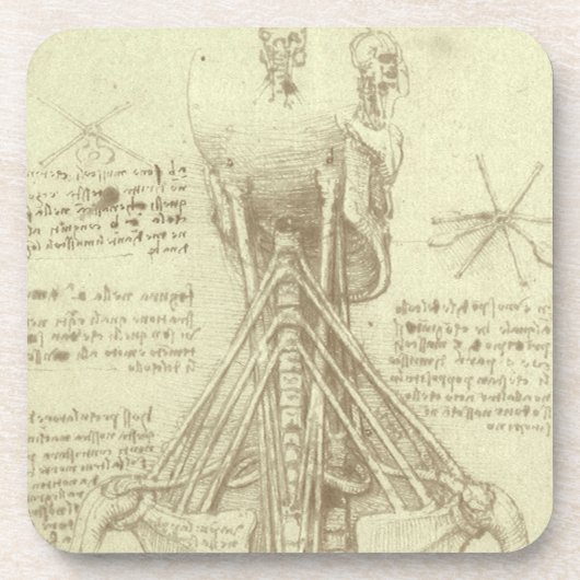 Dessous-de-verre Anatomie humaine colonne vertébrale par Leonardo d (Devant)