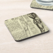 Dessous-de-verre Anatomie humaine Muscles masculins par Leonardo da (Côté gauche)