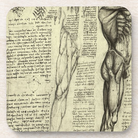 Dessous-de-verre Anatomie humaine Muscles masculins par Leonardo da (Devant)