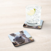 Dessous-de-verre Âne gris souriant comique (Côté Droit)