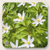 Dessous-de-verre Anémone des bois (Devant)