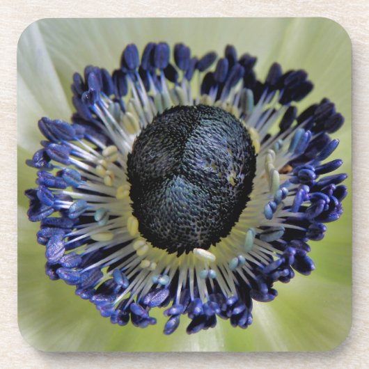Dessous-de-verre Anemone Mistral Panda (Devant)