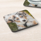 Dessous-de-verre Animaux de bébés cutest | Australian Shepherd Pupp (Côté gauche)