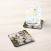 Dessous-de-verre Animaux de bébés cutest | Australian Shepherd Pupp (Côté Droit)