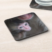 Dessous-de-verre Animaux de bébés cutest | Bébé Macaque singe et mè (Côté gauche)